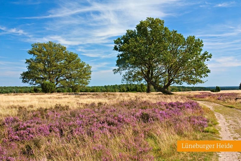 Lueneburger Heide Stellplatrz